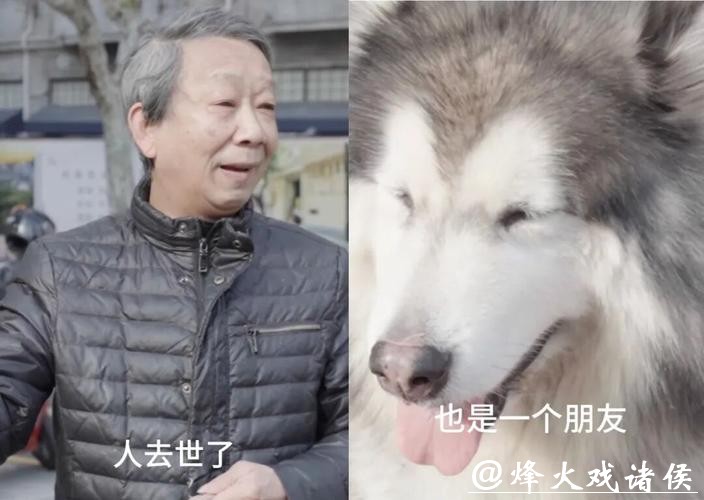 好友突然离世！上海爷叔继承了其“最宝贵”的遗产！网友泪目：讲义气……